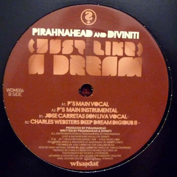 lataa albumi Pirahnahead And Diviniti - Just Like A Dream