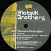 Blotnik Brothers* - Museful Revolution