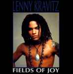 Cover of Fields Of Joy, 1992, Vinyl