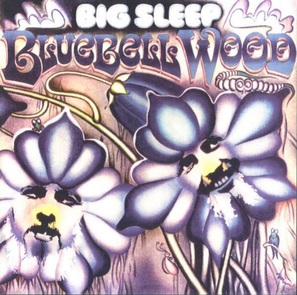 Big Sleep – Bluebell Wood (2007, CD) - Discogs