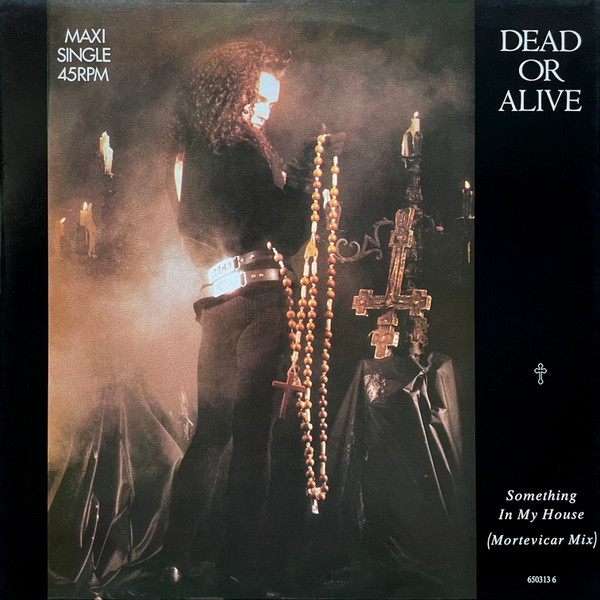 Dead Or Alive – Something In My House (1986, Vinyl) - Discogs