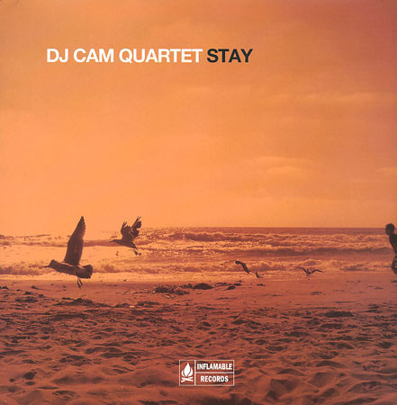 DJ Cam Quartet – Stay (2009, Vinyl) - Discogs