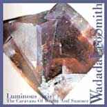 Wadada Leo Smith - Luminous Axis (Caravans Of Winter And Summer) album cover