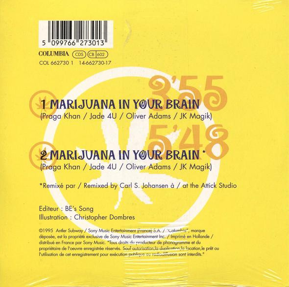 Album herunterladen Lords Of Acid - Marijuana In Your Brain