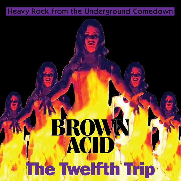 Various – Brown Acid: The Twelfth Trip (Heavy Rock From The Underground Comedown)