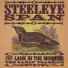 Steeleye Span - The Lark In The Morning - The Early Years