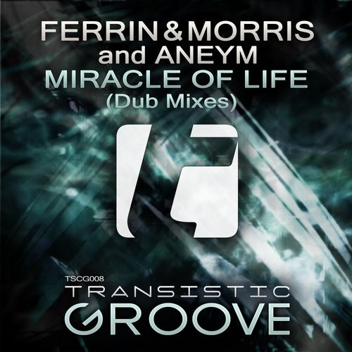 descargar álbum Ferrin & Morris And Aneym - Miracle Of Life Dub Mixes