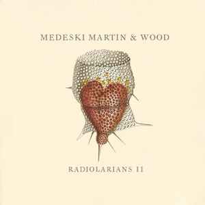 Medeski Martin & Wood - Radiolarians II album cover