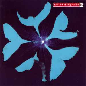 The Darling Buds – Pop Said (1988, CD) - Discogs