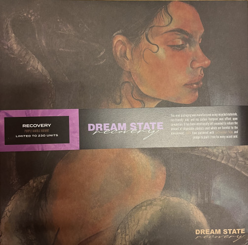 Dream State – Recovery (2022, Purple Marble, Vinyl) - Discogs