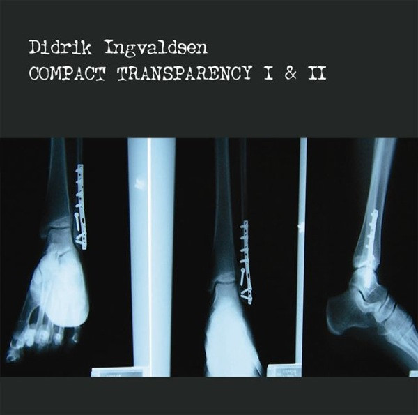 descargar álbum Didrik Ingvaldsen - Compact Transparency I II