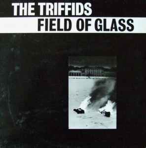 The Triffids - Field Of Glass