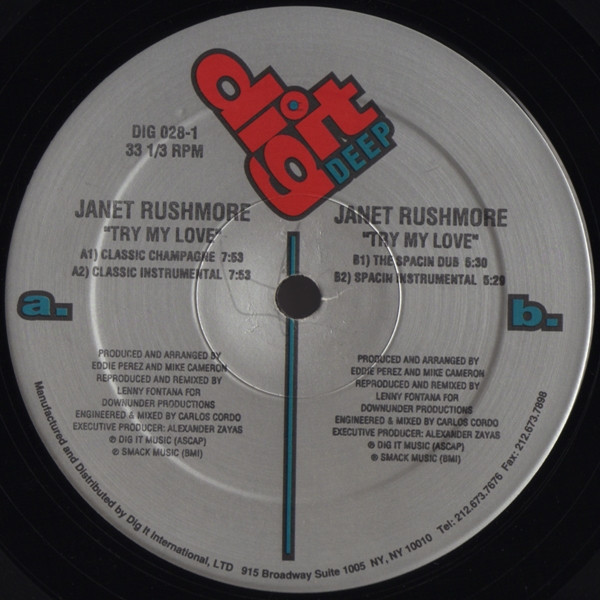 descargar álbum Download Janet Rushmore - Try My Love album