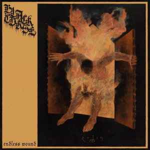 Black Curse (2) - Endless Wound album cover