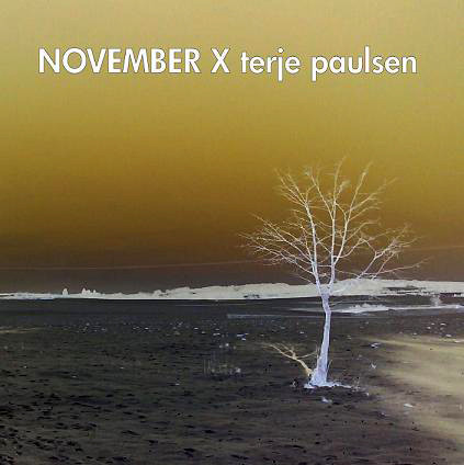 Album herunterladen Terje Paulsen - November X