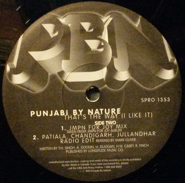 descargar álbum Punjabi By Nature - Thats The Way I Like It