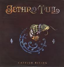 Jethro Tull – Catfish Rising (2006, CD) - Discogs