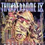 Cover of Thunderdome IX, 1995, Vinyl
