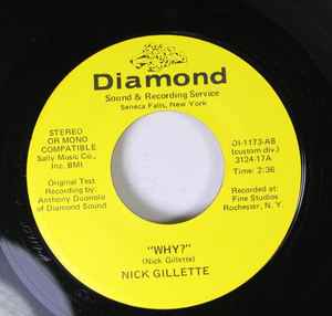 Nick Gillette - Why?/ Green Onions album cover