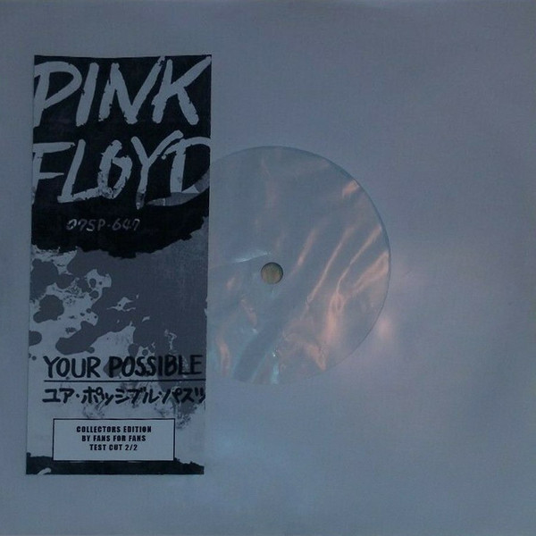 Pink Floyd = ピンク・フロイド – Not Now John / Your Possible Pasts