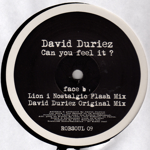 last ned album David Duriez - Can You Feel It