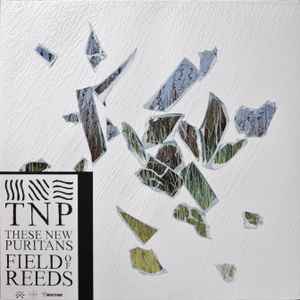 These New Puritans - Field Of Reeds album cover