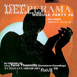 DJ Sprinkles – Deeperama Module Party #8 (2004, CDr) - Discogs