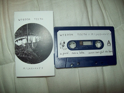 lataa albumi Wisdom Teeth, Milkshakes - Split
