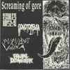 Engulfed In Flies / Purulent Vagina / Gonotoxemia / Brutal Decomposition - Screaming Of Gore