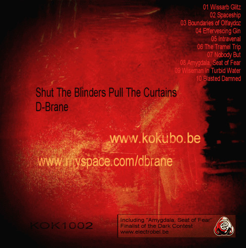 ladda ner album DBrane - Shut The Blinders Pull The Curtains
