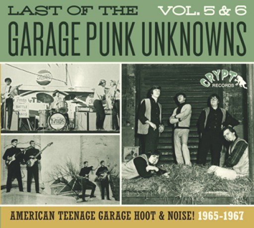 Last Of The Garage Punk Unknowns Volume 5 & 6 (American Teenage