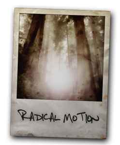 Radical Motion (2) - Misbelief / Szép Új Világ / Invasion album cover