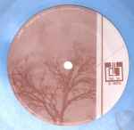 Cover of Event Related Potential, 2005-05-00, Vinyl