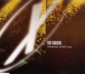 Foo Fighters – Next Year (2000, CD) - Discogs
