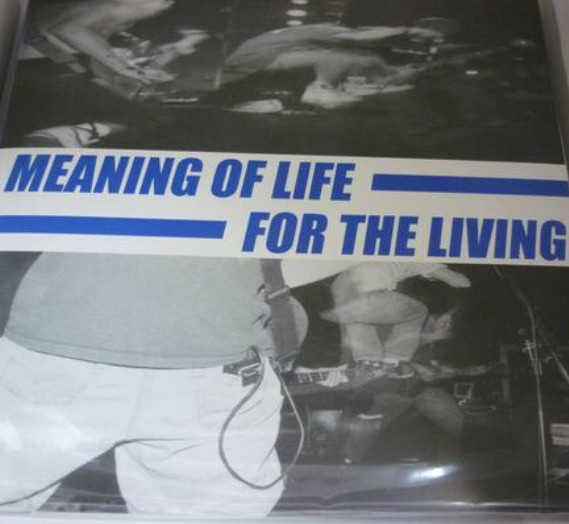 ladda ner album Meaning Of Life For The Living - Meaning Of Life For The Living