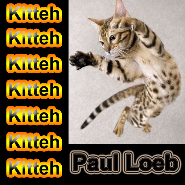 descargar álbum Paul Loeb - Kitteh