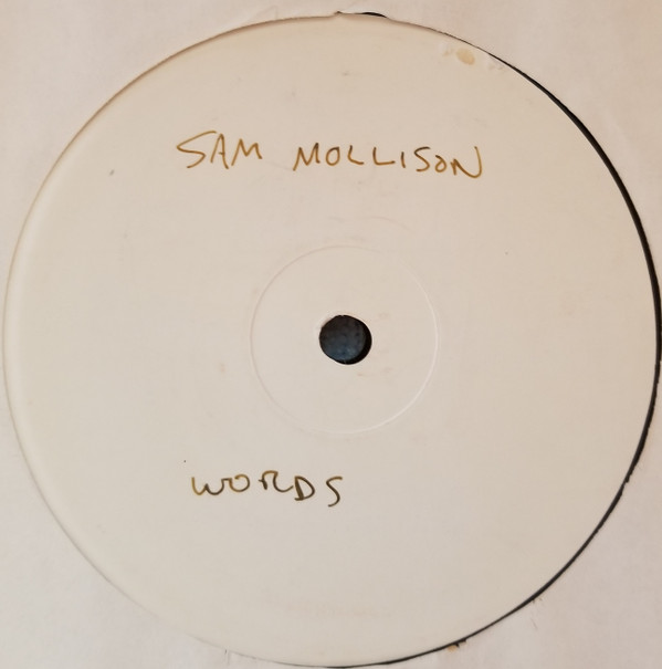 lataa albumi Sam Mollison - Words The Medway Mixes