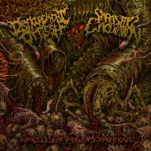 Disfigurement Of Flesh - Intracellular Impious Metamorphosis album cover