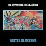 Cover of Winter In America, 2010, CD