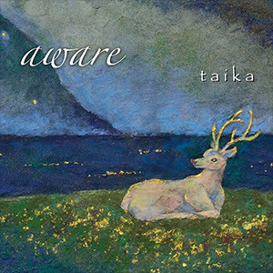 lataa albumi Taika - Aware
