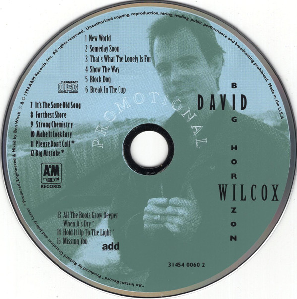 télécharger l'album David Wilcox - Big Horizon