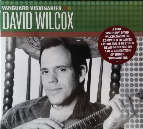 David Wilcox – Vanguard Visionaries: David Wilcox (2007, CD) - Discogs