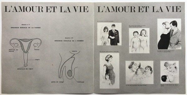 last ned album Various - LAmour Et La Vie