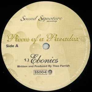 Pieces Of A Paradox - Theo Parrish