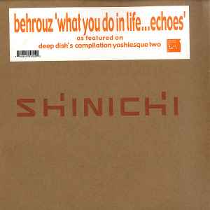 Behrouz - What You Do In Life... Echoes album cover