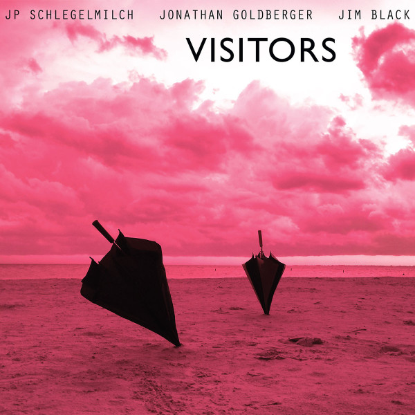 baixar álbum JP Schlegelmilch, Jonathan Goldberger, Jim Black - Visitors