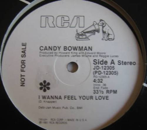 流行に 12' Candy Bowman– I Wanna Feel Your Love 洋楽 - rktnc.com