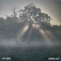 Akvarium announcer tilbehør Foy Vance – Guiding Light (2013, CDr) - Discogs