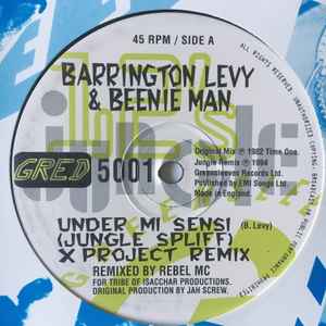 Under Mi Sensi - Barrington Levy & Beenie Man