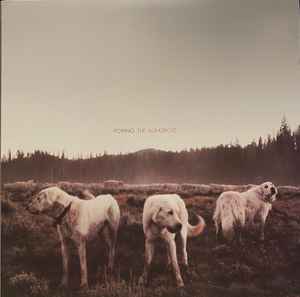 tilbagemeldinger Broom krigsskib Foxing – The Albatross (2013, Vinyl) - Discogs